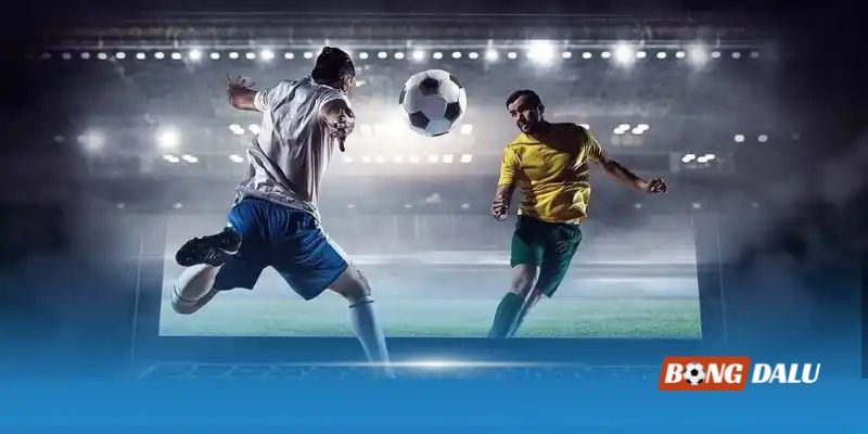 Những mẹo đọc kèo hay, đơn giản nhưng cực ít người biết